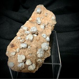 Botryoidal Chalcedony Nodules in Sandstone – 10.9 oz Natural Specimen